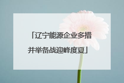 辽宁能源企业多措并举备战迎峰度夏
