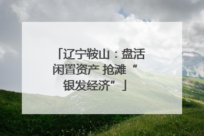 辽宁鞍山：盘活闲置资产 抢滩“银发经济”