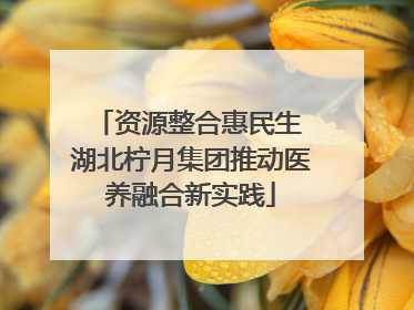 资源整合惠民生 湖北柠月集团推动医养融合新实践