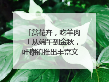 赏花卉，吃羊肉！从端午到金秋，叶榭镇推出丰富文旅活动邀您爽玩