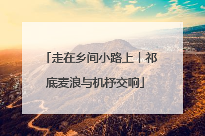 走在乡间小路上丨祁底麦浪与机杼交响