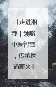 走进湘鄂｜领略中医智慧，传承医道薪火