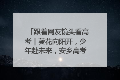 跟着网友镜头看高考｜葵花向阳开，少年赴未来，安乡高考首日的希望图景