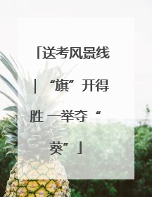 送考风景线｜“旗”开得胜 一举夺“葵”