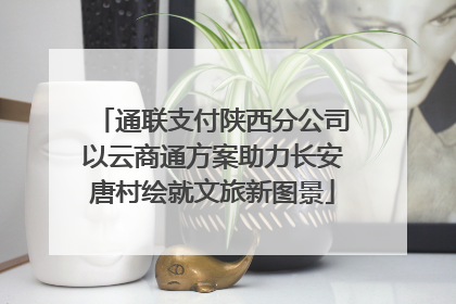 通联支付陕西分公司以云商通方案助力长安唐村绘就文旅新图景