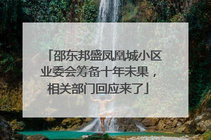 邵东邦盛凤凰城小区业委会筹备十年未果，相关部门回应来了
