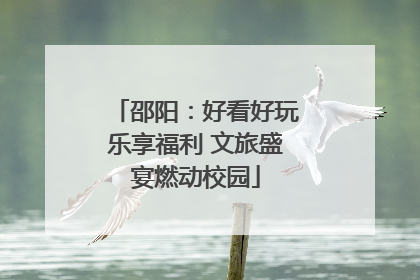 邵阳：好看好玩乐享福利 文旅盛宴燃动校园