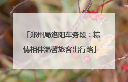 郑州局洛阳车务段：粽情相伴温馨旅客出行路