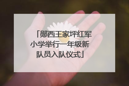 郧西王家坪红军小学举行一年级新队员入队仪式