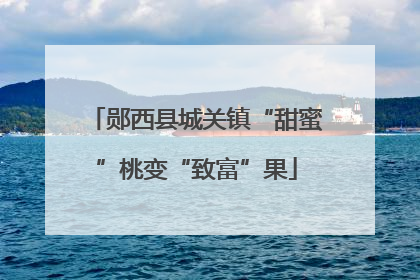 郧西县城关镇“甜蜜”桃变“致富”果