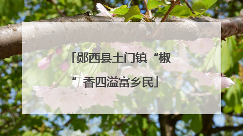 郧西县土门镇“椒”香四溢富乡民