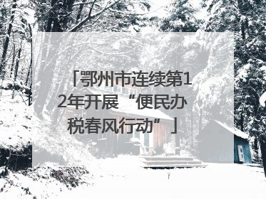 鄂州市连续第12年开展“便民办税春风行动”