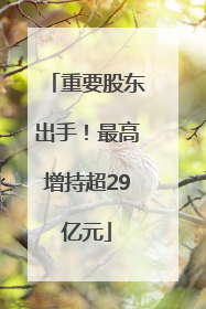 重要股东出手！最高增持超29亿元