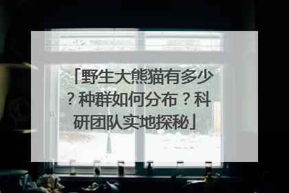 野生大熊猫有多少？种群如何分布？科研团队实地探秘