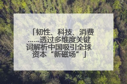 韧性、科技、消费……透过多维度关键词解析中国吸引全球资本“新磁场”