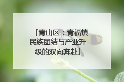 青山区：青福镇民族团结与产业升级的双向奔赴