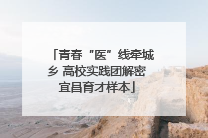 青春“医”线牵城乡 高校实践团解密宜昌育才样本