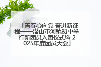 青春心向党 奋进新征程——潜山市河镇初中举行新团员入团仪式暨 2025年度团员大会