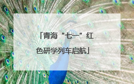 青海“七一”红色研学列车启航