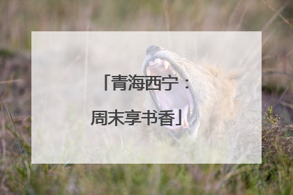 青海西宁：周末享书香
