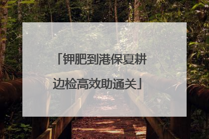 钾肥到港保夏耕 边检高效助通关