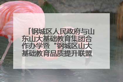 钢城区人民政府与山东山大基础教育集团合作办学暨“钢城区山大基础教育品质提升联盟”签约揭牌活动举行