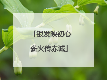 银发映初心 薪火传赤诚