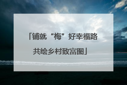 铺就“梅”好幸福路 共绘乡村致富图
