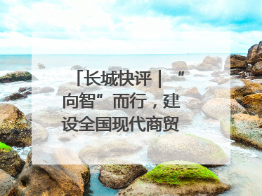 长城快评｜“向智”而行，建设全国现代商贸物流重要基地