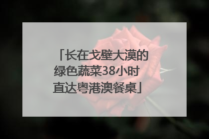 长在戈壁大漠的绿色蔬菜38小时直达粤港澳餐桌