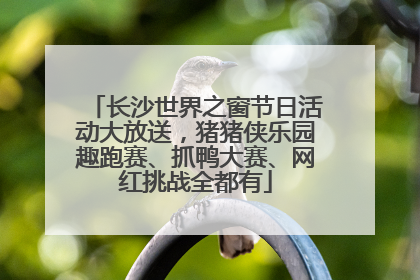 长沙世界之窗节日活动大放送，猪猪侠乐园趣跑赛、抓鸭大赛、网红挑战全都有