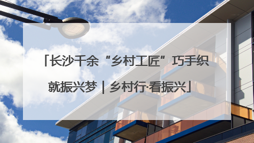 长沙千余“乡村工匠”巧手织就振兴梦｜乡村行·看振兴