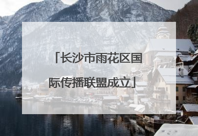 长沙市雨花区国际传播联盟成立