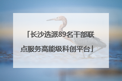 长沙选派89名干部联点服务高能级科创平台