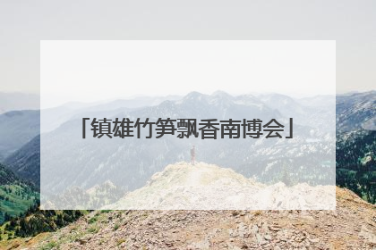 镇雄竹笋飘香南博会
