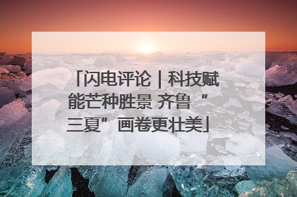 闪电评论｜科技赋能芒种胜景 齐鲁“三夏”画卷更壮美