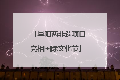 阜阳两非遗项目亮相国际文化节