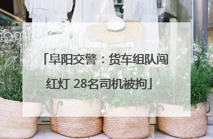 阜阳交警：货车组队闯红灯 28名司机被拘