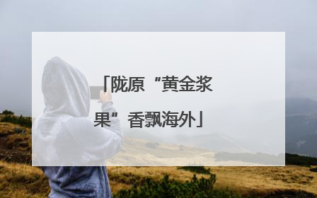 陇原“黄金浆果”香飘海外