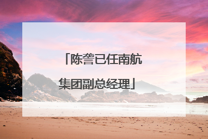 陈詟已任南航集团副总经理