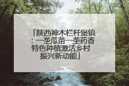 陕西神木栏杆堡镇：一垄瓜苗一垄药香 特色种植激活乡村振兴新动能