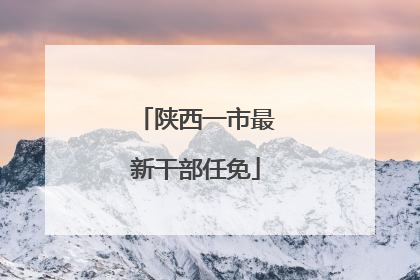 陕西一市最新干部任免