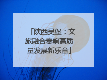 陕西吴堡：文旅融合奏响高质量发展新乐章