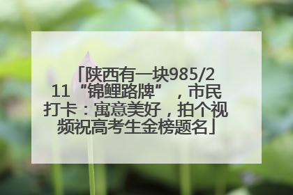 陕西有一块985/211“锦鲤路牌”，市民打卡：寓意美好，拍个视频祝高考生金榜题名