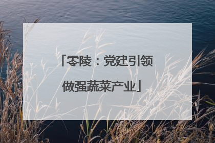 零陵：党建引领 做强蔬菜产业