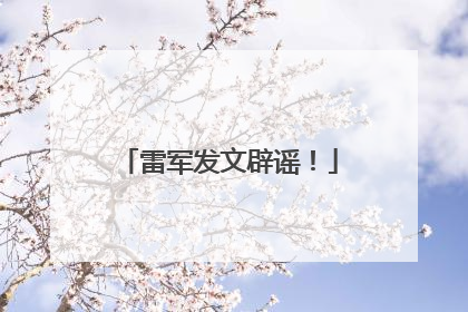 雷军发文辟谣！