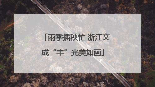 雨季插秧忙 浙江文成“丰”光美如画