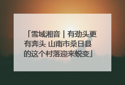 雪域湘音｜有劲头更有奔头 山南市桑日县的这个村落迎来蜕变