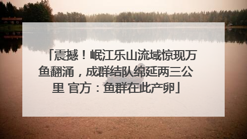 震撼！岷江乐山流域惊现万鱼翻涌，成群结队绵延两三公里 官方：鱼群在此产卵