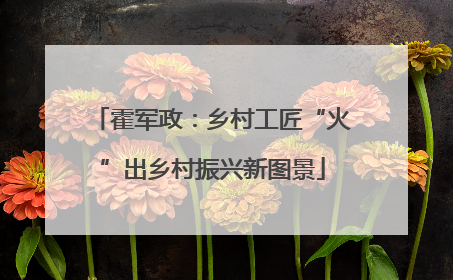 霍军政：乡村工匠“火”出乡村振兴新图景